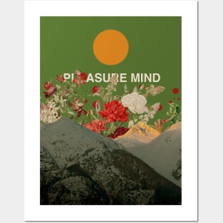 Pleasure Mind Posters and Art